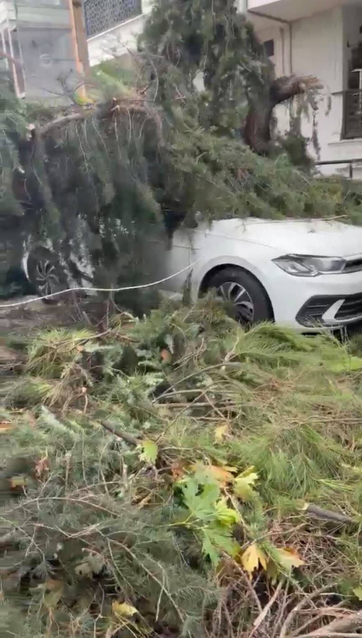 M A L T E P E’ D E K E S I L E N A G A C 2 O T O M O B I L I N U Z E 1511952 449894