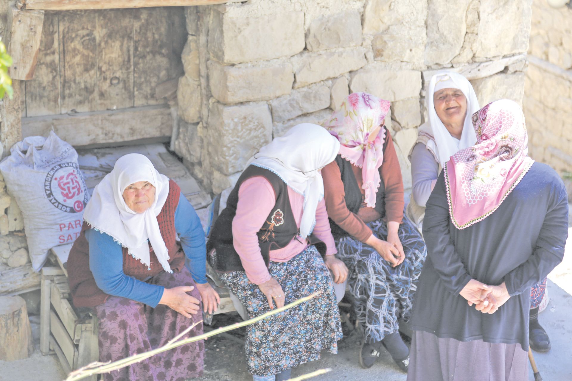 7Balkusanb