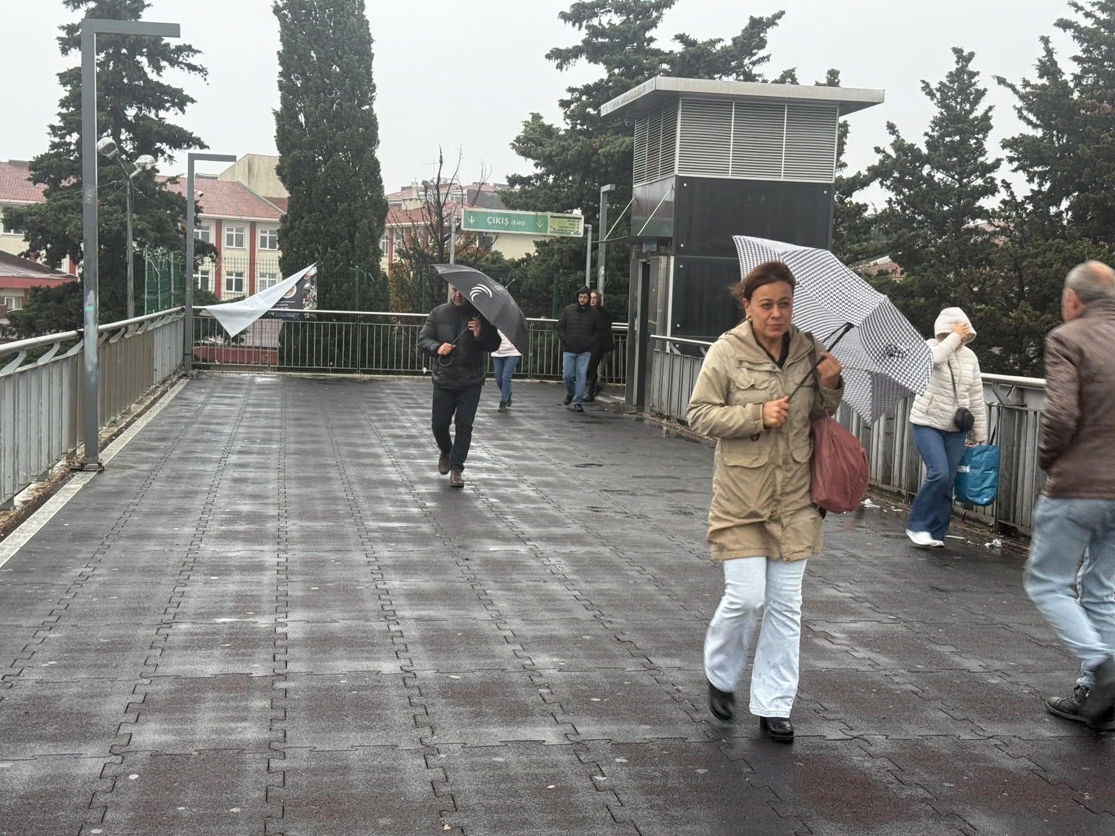 A W810303 01