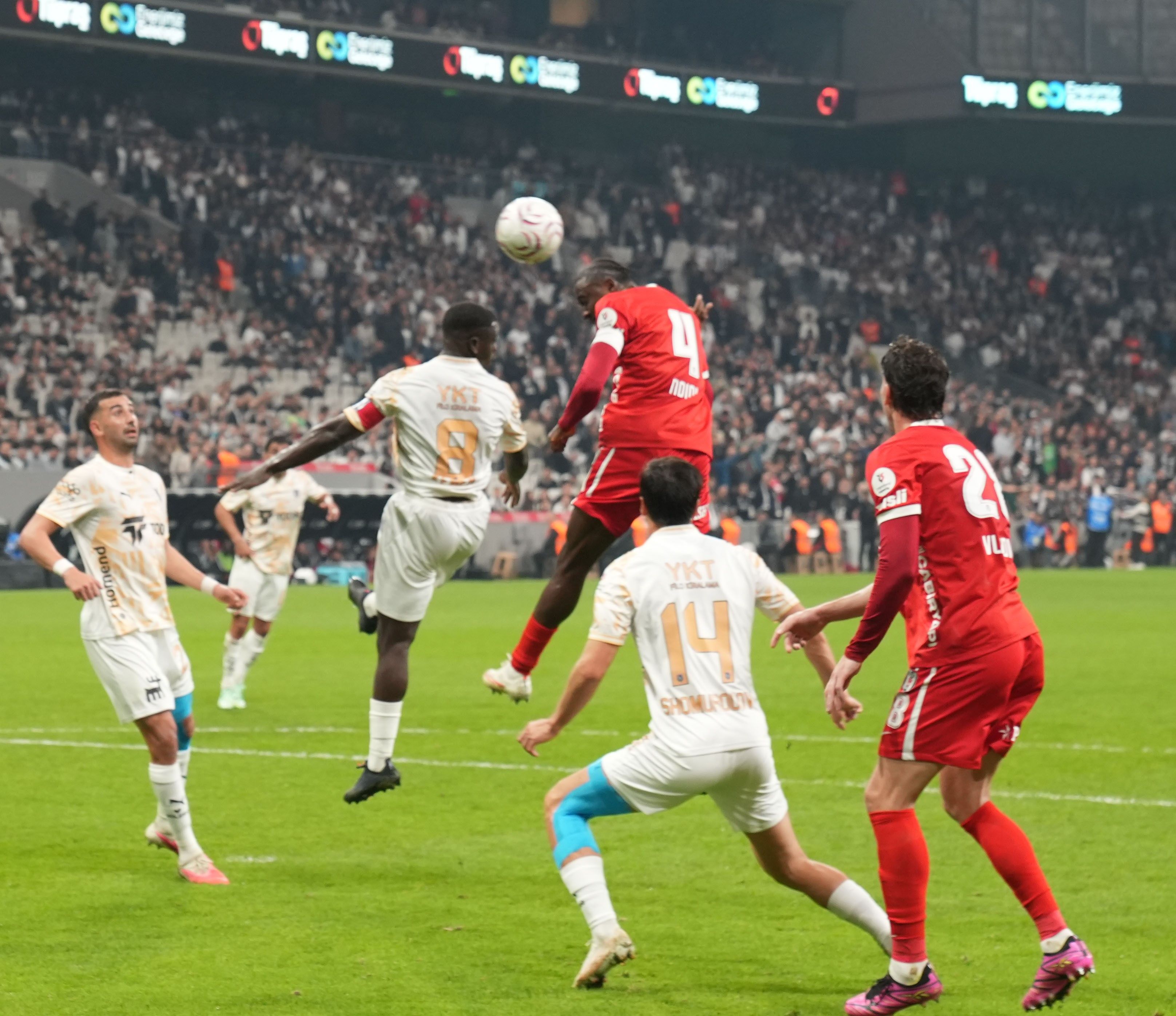Beşiktaş 10 maçtır evinde kaybetmiyor